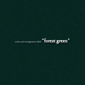 Q: Forest Green (Deluxe)