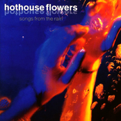 Isn't It Amazing by Hothouse Flowers