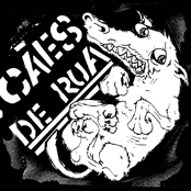 cães de rua