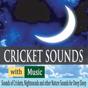 Cricket Sounds With Music: Sounds of Crickets, Nightsounds and Other Nature Sounds for Deep Sleep