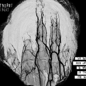 You Don't Need Oxygen To Walk On This Fake Moon