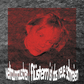 flüstern ist das neue schreien