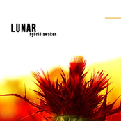 Black Box by Lunar