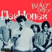 The Way I Feel by The Fleshtones