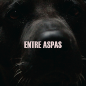 Entre Aspas