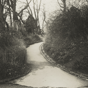 Inside the Soundscape