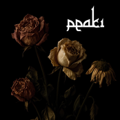 I Cannot Grieve Anymore