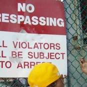 Feel Me Or Feel Cheap