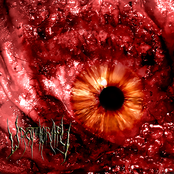 Urotherapy demo 2020