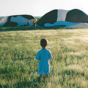 i've never wanted kids