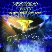 Use Me by Widespread Panic