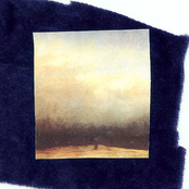 foggy.night.meteor.shower