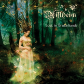 Lost in Brocéliande