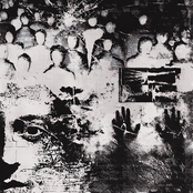 Awareness Is Freedom