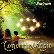 Fight To The Death by Concerto Moon