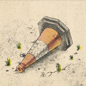 Stars of the Wayside