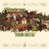 Plays Psycho Erectus (Vynil Edition)