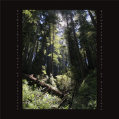 Textures of Transience