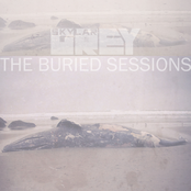 Skylar Grey: The Buried Sessions Of Skylar Grey