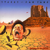 Open To Seduction by Tygers Of Pan Tang