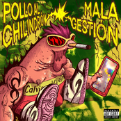 Pollo al Chilindrón