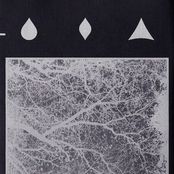 Frozen In Time: Music To Accompany The Films Of Ingmar Bergman