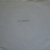 My Thesis B/W My Dissertation