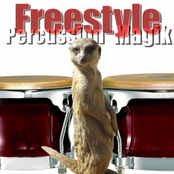 Freestyle Percussion Magik