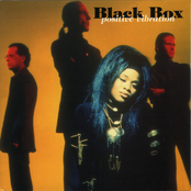 Fall Into My Love by Black Box