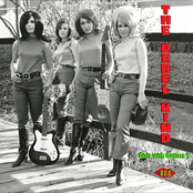 Girls With Guitars 3 - The Rebel Kind