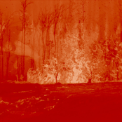 The skull of the earth opens; We all start anew. (Yobo Mouvement II: Fire)