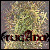 Audience Of Insanity