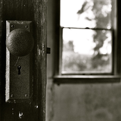 Charlie Chaplin Lookalike Contest