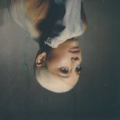 Sweetener