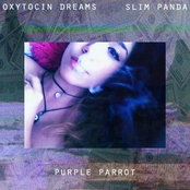 purple parrot (ft. Slim Panda)