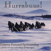 Hurrabuus!