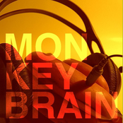 monkeybrain