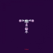 Tribut