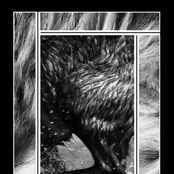 Ecology Tapes Vol. Two