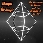 The Pessimism Of Reason And The Optimism Of The Will