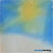 Awning