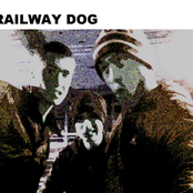 Railway Dog