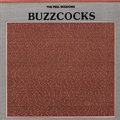 Pulse Beat by Buzzcocks