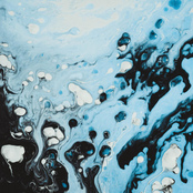 I was wrong to say I love you