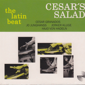 The Latin Beat Vol.1