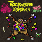 Препарирование Хомячка