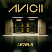 Avicii: Levels