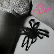 The Flyin' Spiderz