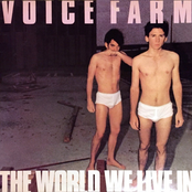 voice farm f