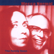 In January by Mecca Normal